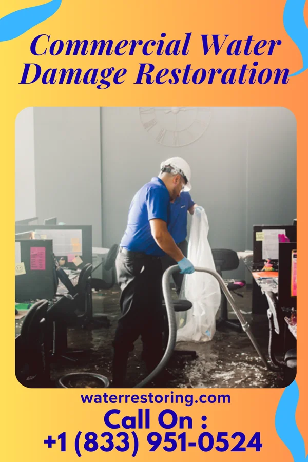 Commercial Water Damage Restoration in Fort Sumner, NM